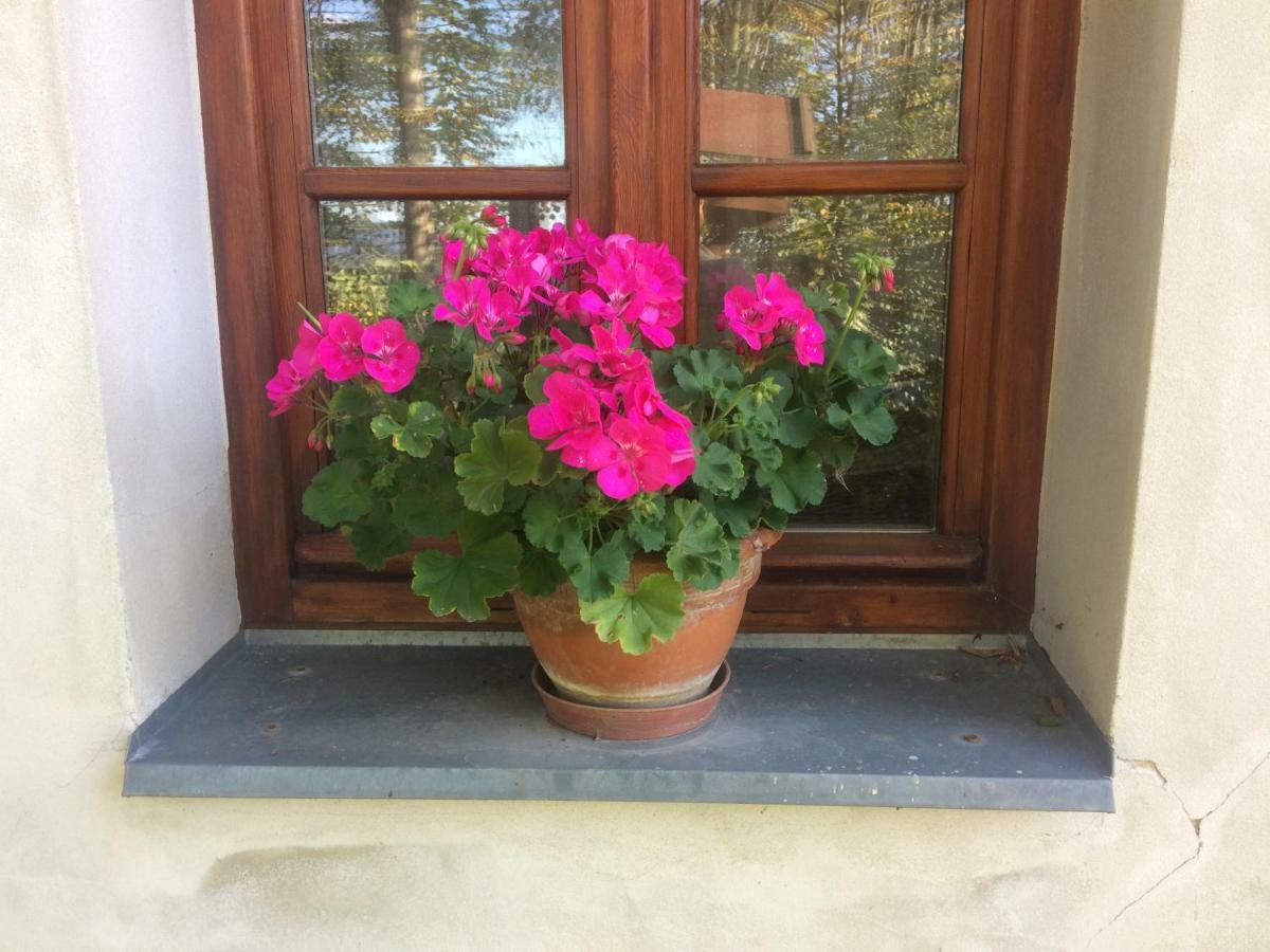 Holiday Home Usedlost Novy Svet Ruzova Exterior foto